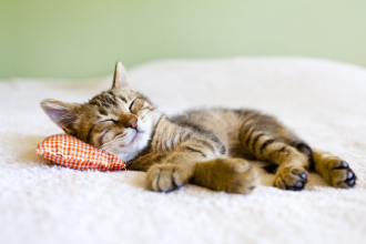 图虫创意-268236521781592135 (1).jpg