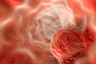 图虫创意-458509903819702679 (1).jpg