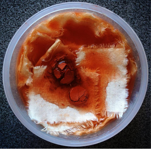 (科学人)【医学诺贝尔·第34届】格哈德·多马克:救命的红色染料1337