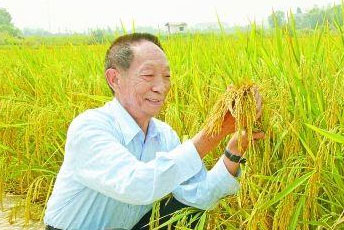 未标题-1-恢复的.jpg