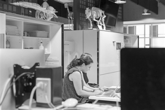 当科学家上网时，他们在搜什么