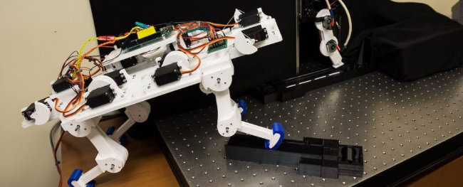 一个机器人在短时间内学会了自己走路