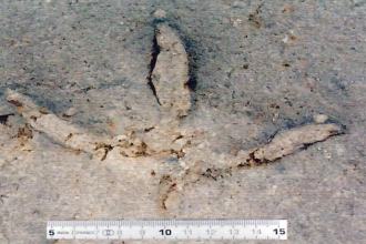 W020190723369321209784.jpg