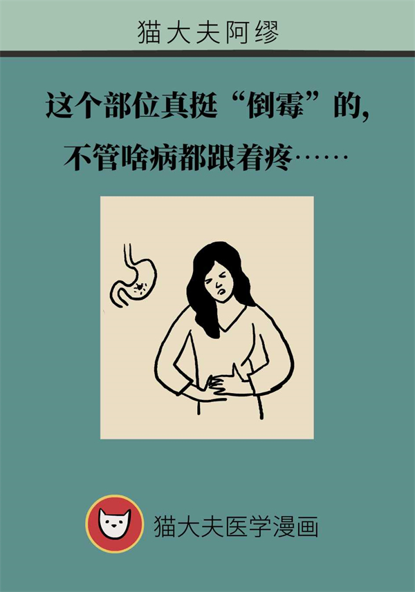 肚子疼究竟是哪儿疼?医生教你准确辨别