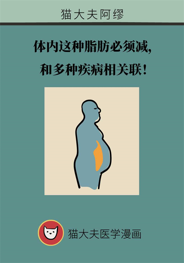 和多种疾病相关联!体内这种脂肪必须减