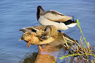 w9gvuLn7yOgeZUeL1vFD3RaG2wdJFFfRBwq2.jpg