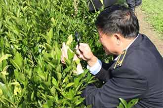 植物检疫.jpg