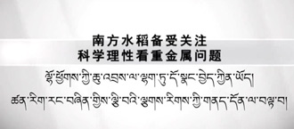 未标题-1.jpg