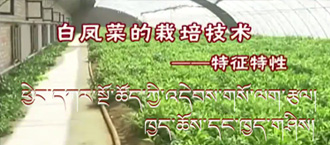 未标题-1.jpg