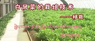 未标题-1.jpg