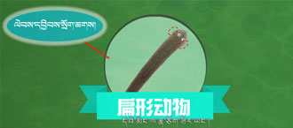 未标题-1.jpg