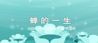 未标题-1.jpg