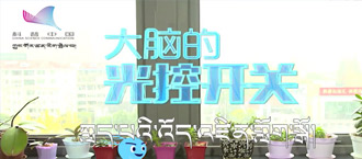 未标题-1.jpg