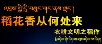 未标题-1.jpg