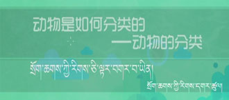 330.jpg