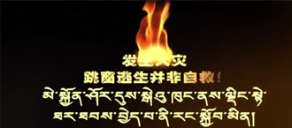 未标题-1.jpg