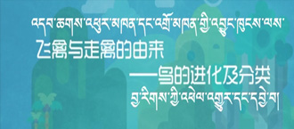 未标题-1.jpg