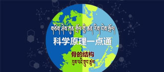 未标题-1.jpg