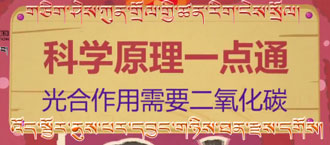 未标题-1.jpg