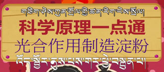 未标题-1.jpg