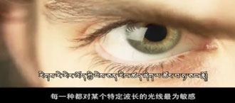 未标题-1.jpg