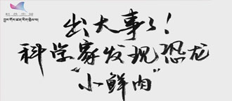 未标题-1.jpg