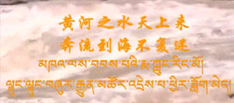 未标题-1.jpg