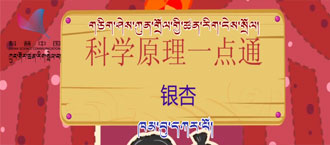 未标题-1.jpg