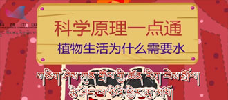 未标题-1.jpg