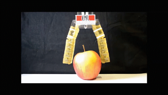 可食用机器人问世？其实更像是行走的补给箱