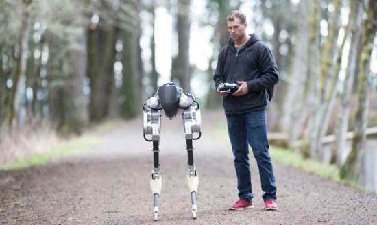 机器人进化论：新的感官能力触发寒武纪大爆发