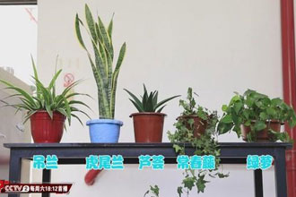 未标题-1.jpg