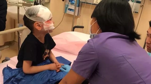 又快到狂犬高发季,是时候祭出这篇文章了