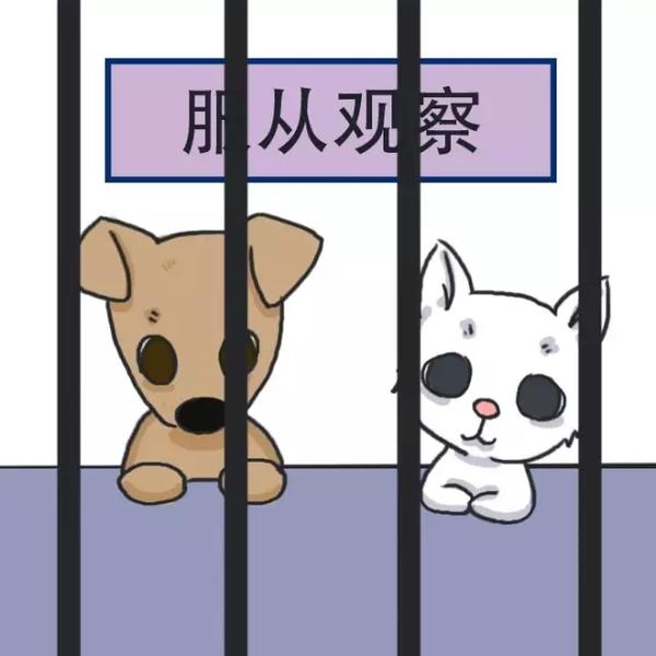又快到狂犬高发季,是时候祭出这篇文章了