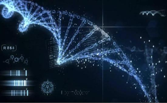 自闭症是如何出现的?之前的研究方向为何错误?-responsive 自闭症是如何出现的?之前的研究方向为何错误?
