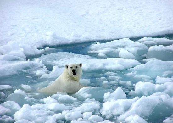 科学家：温室气体真会导致第六次生物大灭绝？