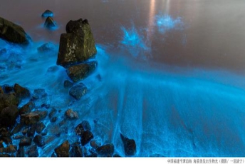 中国福建平潭沿海海萤发出生物光（摄影：一羽清宁）