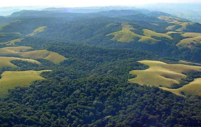 Ongoye_aerialview