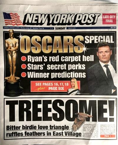 鸟类世界的“狗血剧”：原配疗伤 小三上位