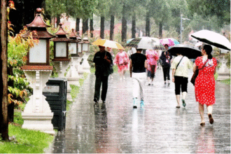 24日上午，风雨无阻的游客们，冒雨参观游览故宫。庄白羽 摄.png