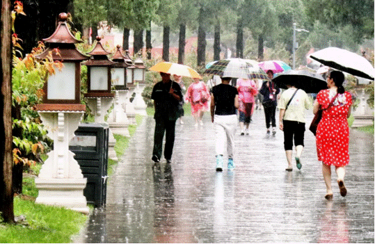 24日上午，风雨无阻的游客们，冒雨参观游览故宫。庄白羽 摄.png