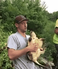 男子被龟咬动图