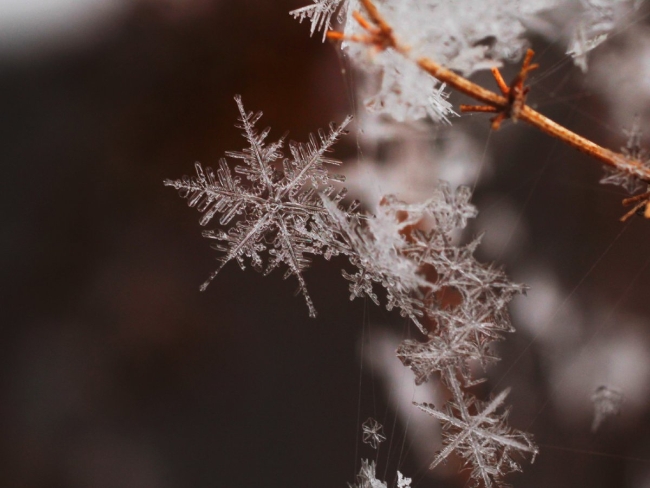 纽约的一个小镇认为下雪是违法的