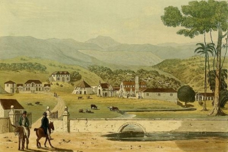 牙买加稻鼠的灭绝：人类不可饶恕的短视