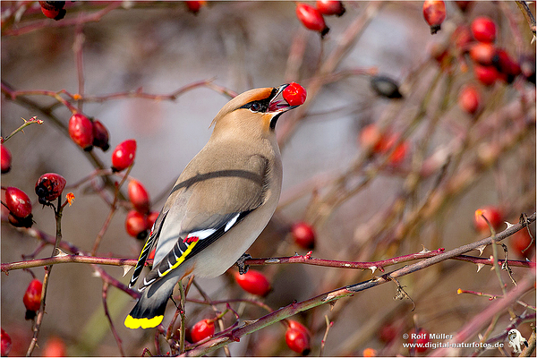 image002-responsive image002