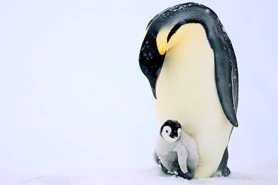 image003-responsive image003