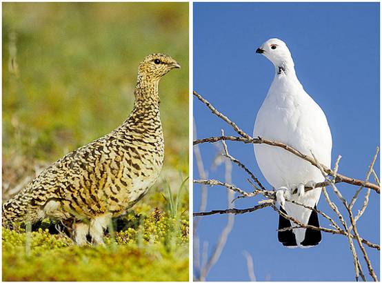 image008-responsive image008