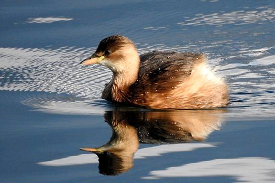 image007-responsive image007