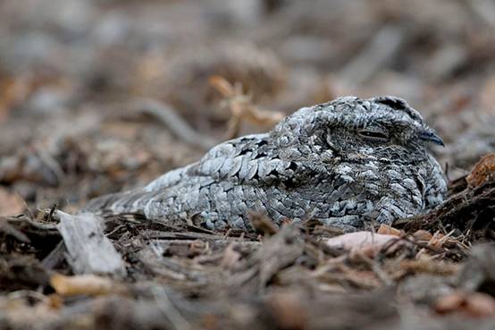 image016-responsive image016