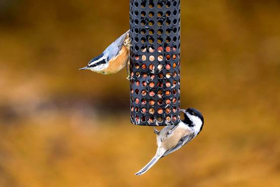 image018-responsive image018